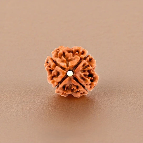 4 Mukhi Nepali Rudraksha - Wisdom Bead